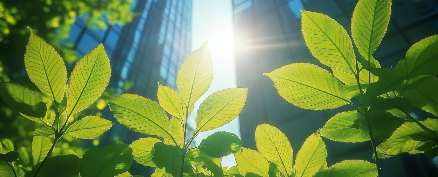 Banco Português de Gestão